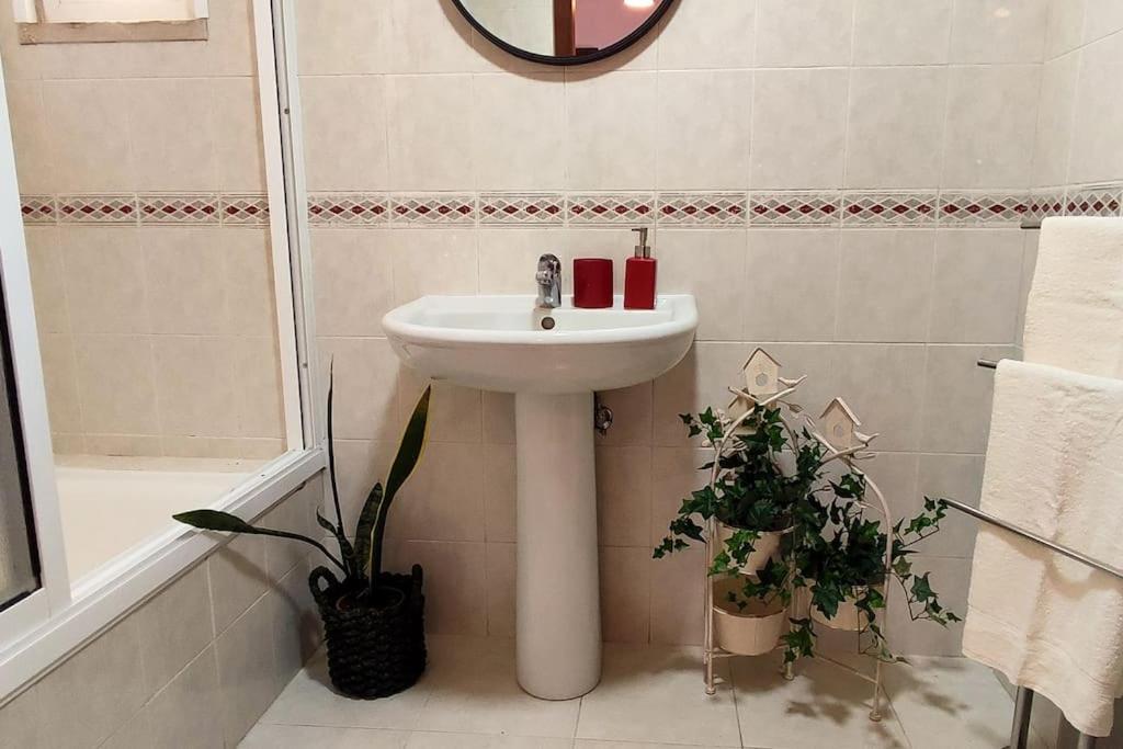 Jardim Sol Holiday Apartment Funchal  Eksteriør bilde